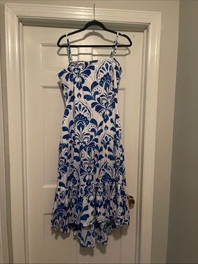 Ann Taylor Blue and White Floral Sundress